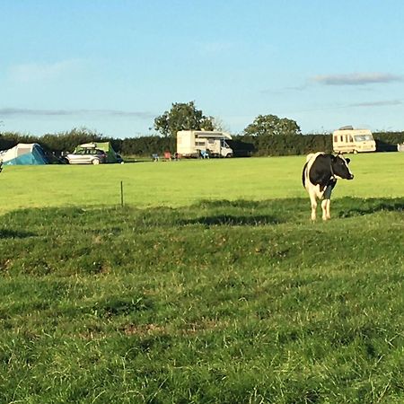 Hotel Carreg Y Gwynt Campsite - Touring And Tent Pitches Llanarth  Exterior foto